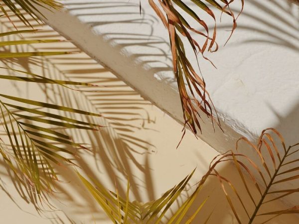 federica-giusti-uYl9tJsnBXk-unsplash (1)