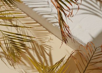 federica-giusti-uYl9tJsnBXk-unsplash (1)