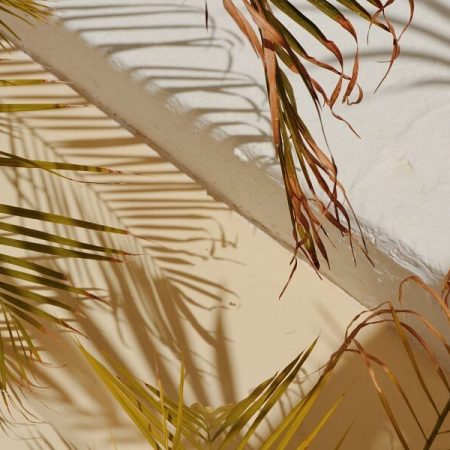 federica-giusti-uYl9tJsnBXk-unsplash (1)